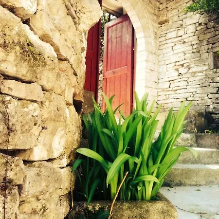 Celo * Gjirokastër